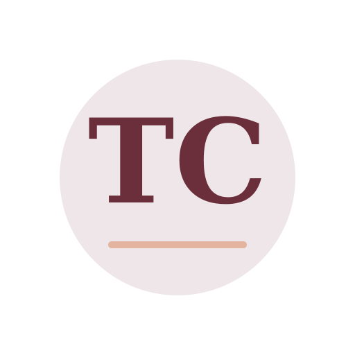 Terri Chimney Services logo